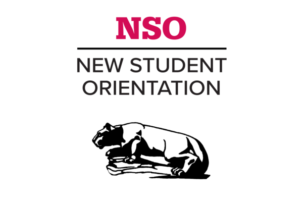 New Student Orientation program logo with NSO text and lion statue image