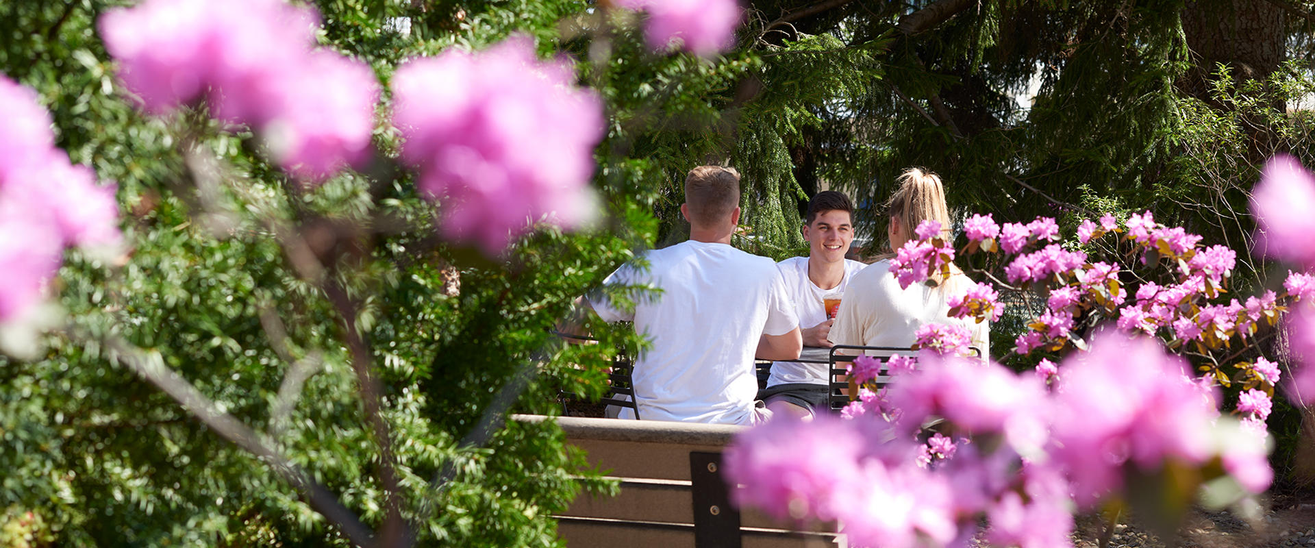 Students visit while enjoying the outdoors