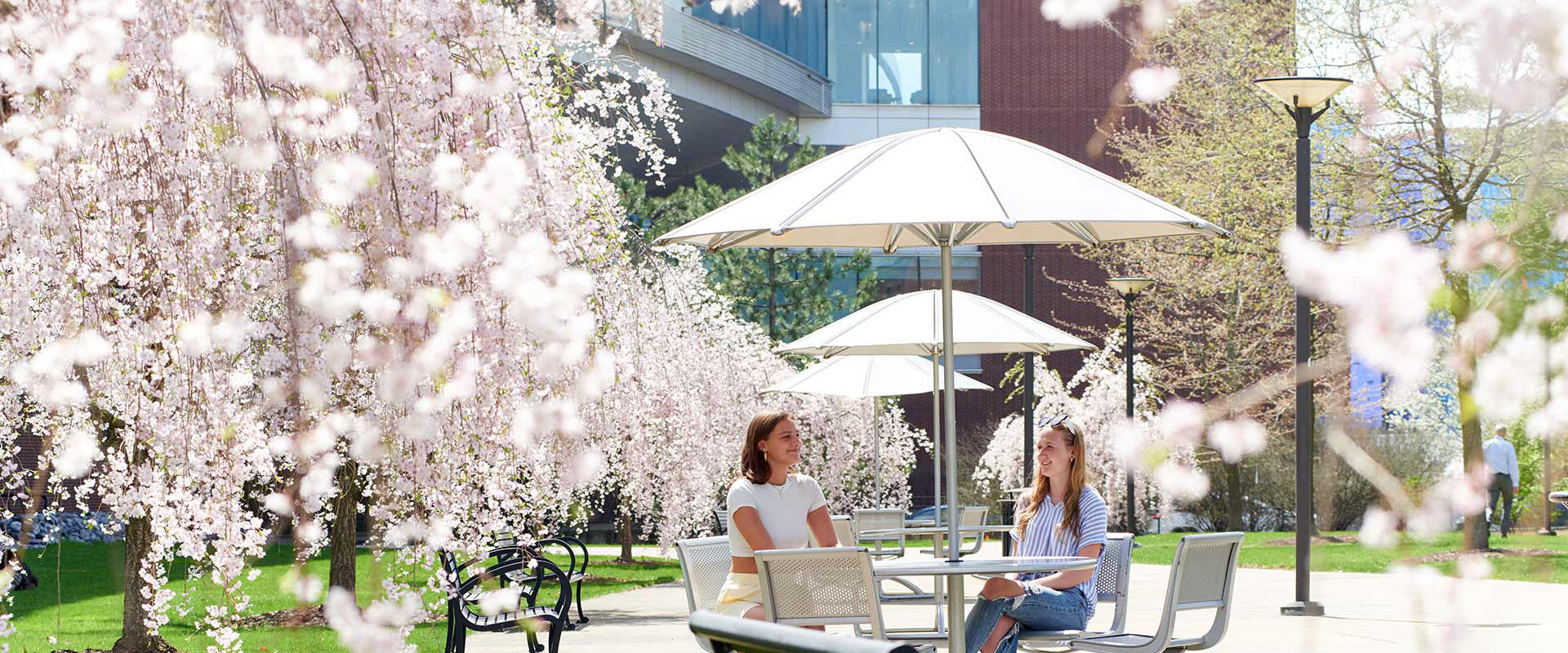 Students visit under blossoming trees next to the IST building