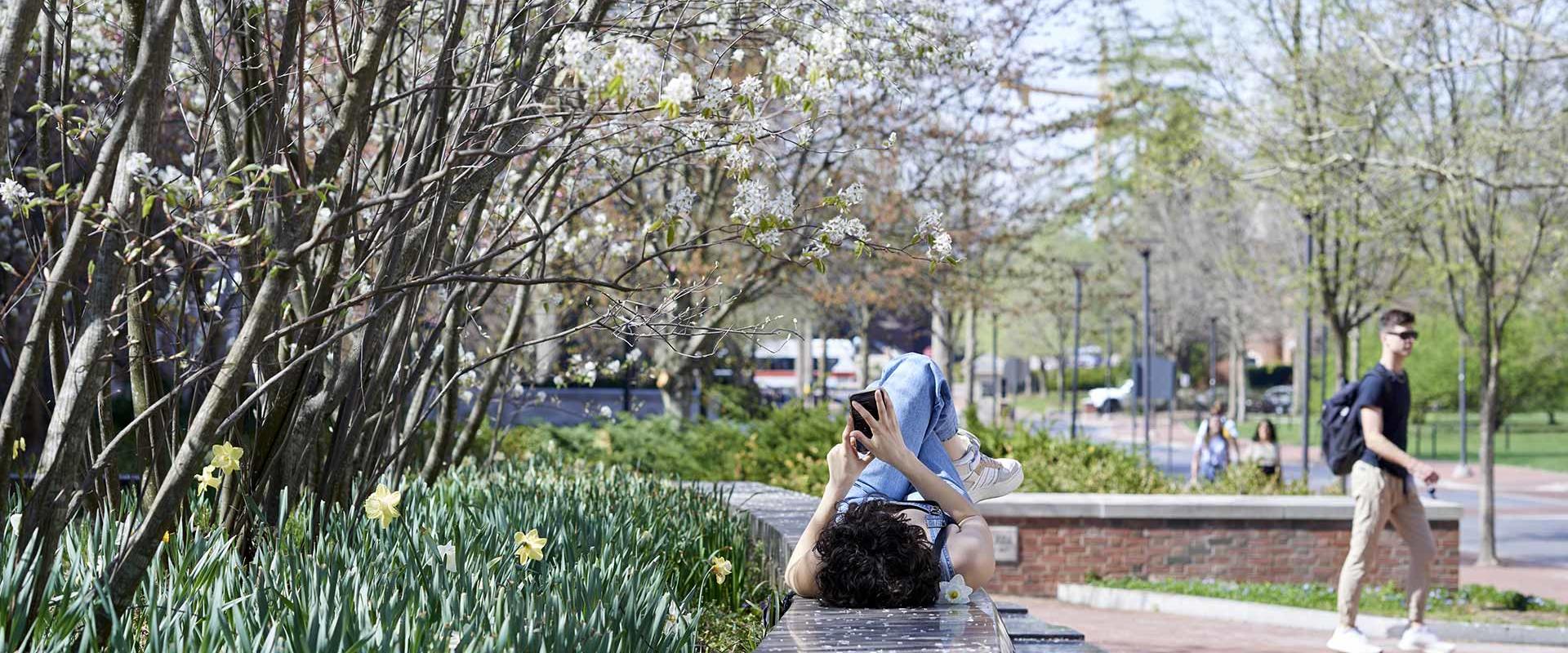 between classes students enjoy the warmth of spring